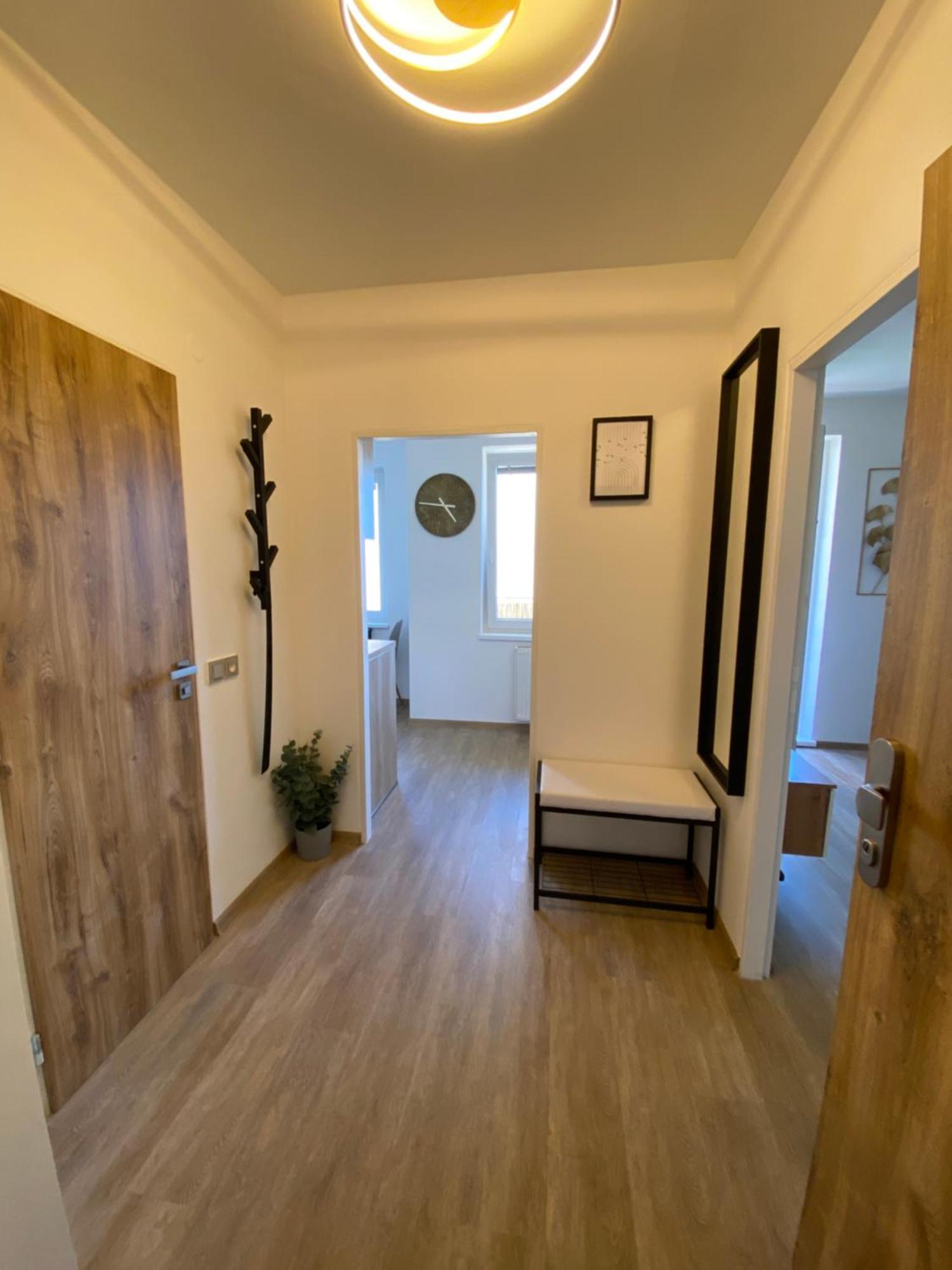 Apartment Golden Leaf Sladkovskeho